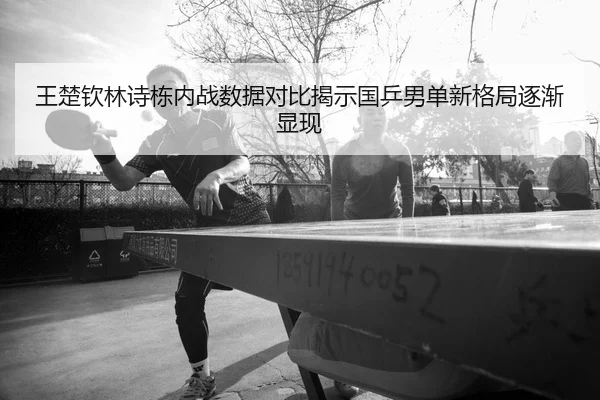 王楚钦林诗栋内战数据对比揭示国乒男单新格局逐渐显现